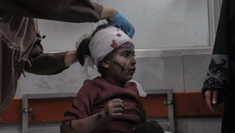 Screenshot 2025-11-20 011228